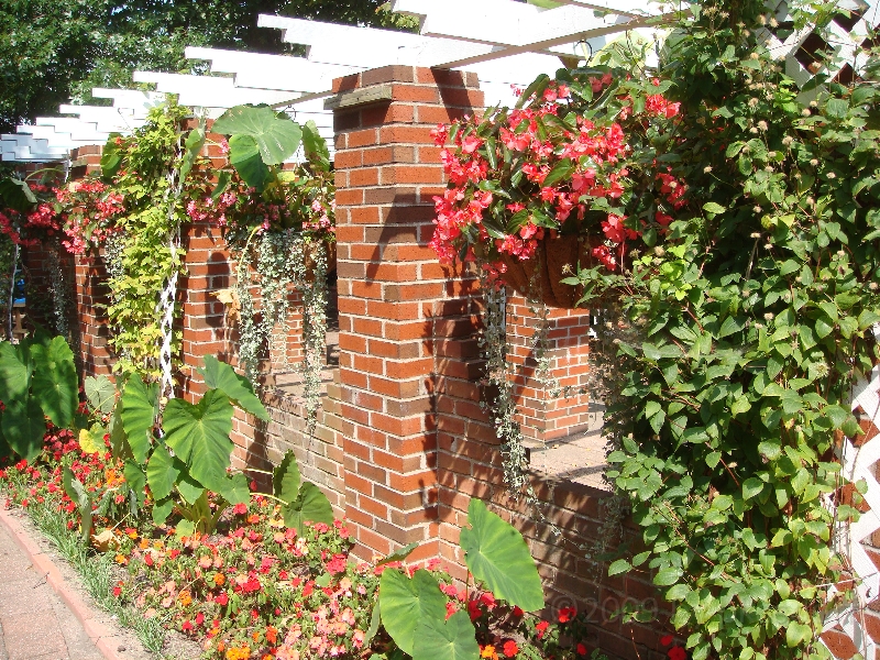 Western Michigan [2009] 494.JPG - Scenes from Windmill Island in Holland, Michigan.